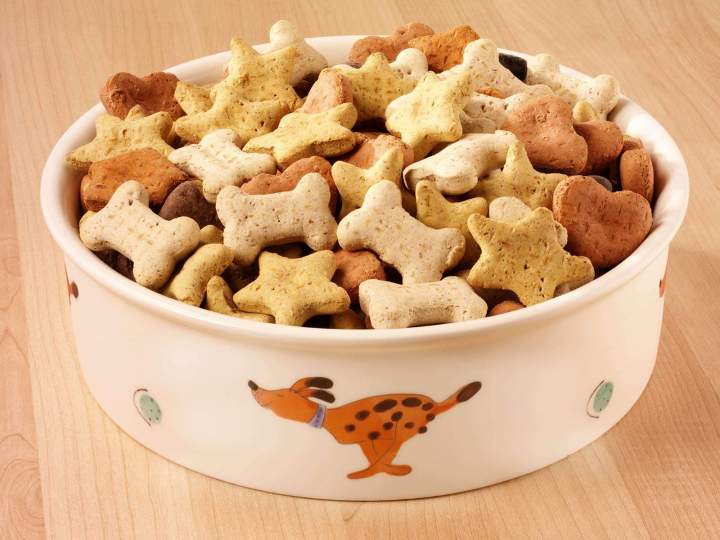 Nourriture et accessoires pour vos animaux de compagnie.