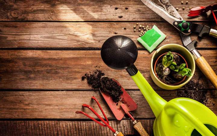 Tout le nécessaire pour entretenir et embellir votre jardin.